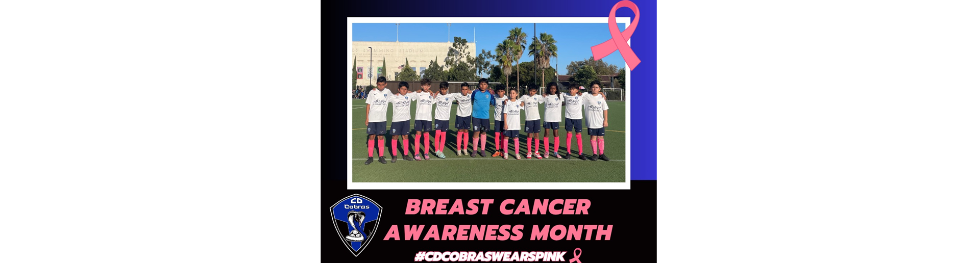 CD Cobras B2014 Wears Pink!