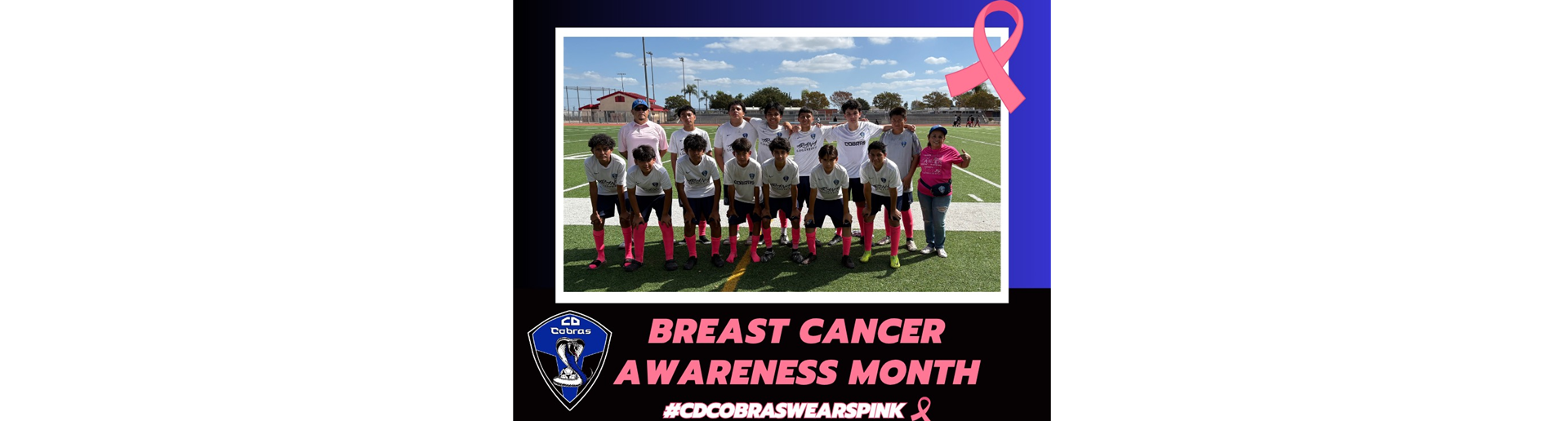 CD Cobras B2011 Wears Pink!