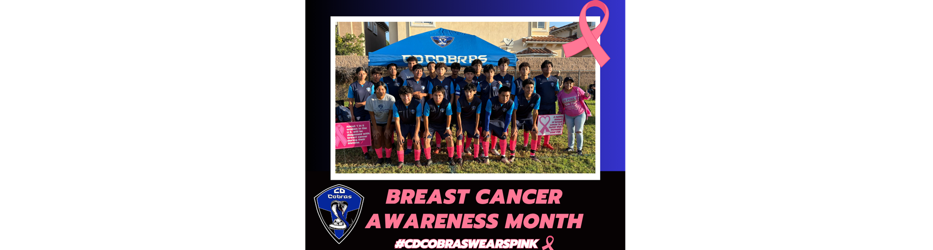 CD Cobras B2009 Wears Pink!